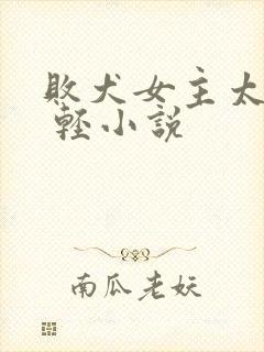 败犬女主太多了 轻小说