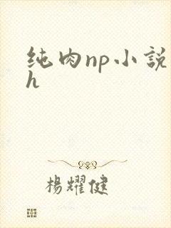 纯肉np小说高h