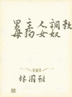 男主人调教惩罚母狗女奴封面