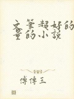 文笔超好的高质量的小说封面