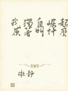 我独自崛起小说原著叫什么