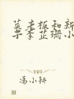 菜老板和新婚妻子李芷珊小说