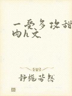 一受多攻甜宠巨肉h文