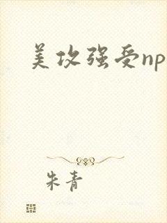 美攻强受np