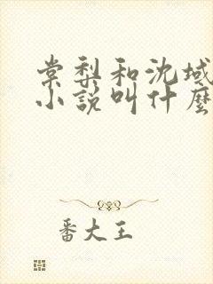 棠梨和沈域原著小说叫什么