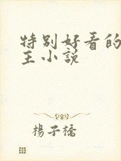 特别好看的双男主小说封面