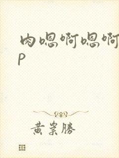 肉嗯啊嗯啊高np