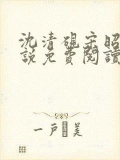 沈清砚宋昭汐小说免费阅读最新章节封面