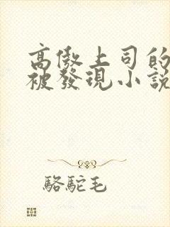 高傲上司的秘密被发现小说免费阅读