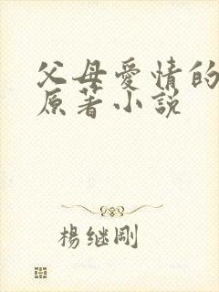 父母爱情的小说原著小说封面