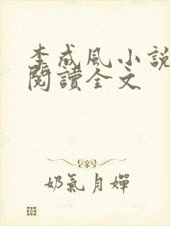 李成风小说在线阅读全文