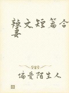辣文短篇合集夫妻