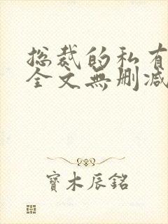 总裁的私有宝贝全文无删减免费阅读