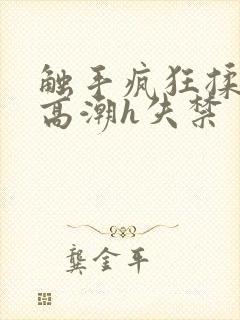 触手疯狂揉肉蒂高潮h失禁