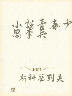 小说青春少年沈思李兵