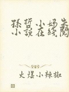 孙哲小妈朱颜的小说在线阅读