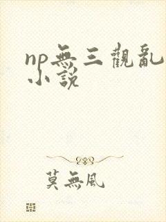 np无三观乱h小说