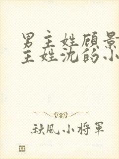 男主姓顾景琛女主姓沈的小说