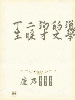 丁二狗的猎艳人生暖才文学网