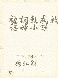 被调教成放荡小淫妇小说封面