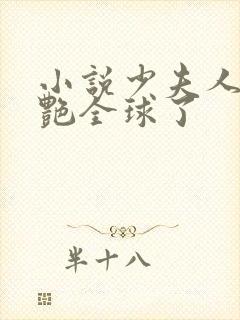 小说少夫人她惊艳全球了