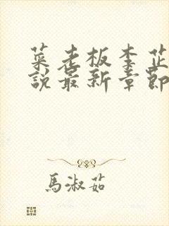 菜老板李芷珊小说最新章节