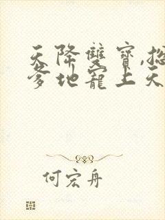 天降双宝,总裁爹地宠上天封面