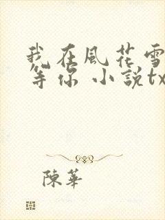 我在风花雪月里等你 小说txt下载