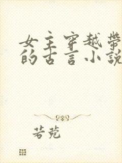 女主穿越带异能的古言小说封面