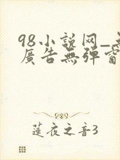 98小说网_无广告无弹窗阅读