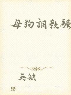 母狗调教骚小说
