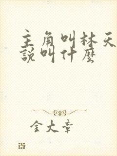 主角叫林天的小说叫什么