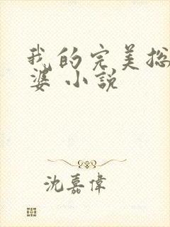 我的完美总裁老婆 小说