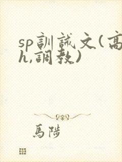 sp训诫文(高h,调教)