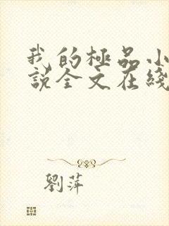 我的极品小姨小说全文在线阅读封面