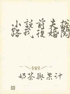 小说前夫总想套路我复婚阅读封面