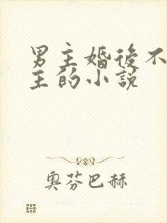 男主婚后不爱女主的小说