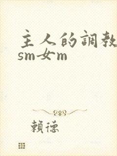 主人的调教小说sm女m封面