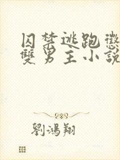 囚禁逃跑惩罚的双男主小说免费观看