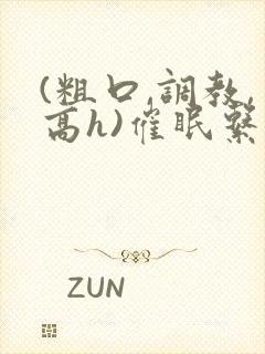 (粗口,调教,高h)催眠系统