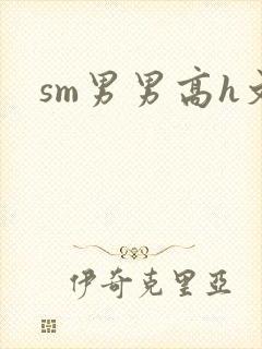 sm男男高h文