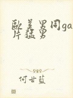 欧美男同gay片猛男封面