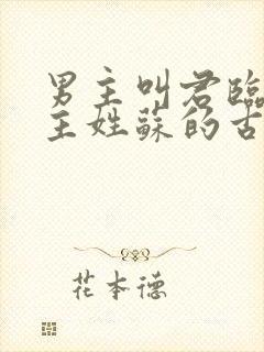 男主叫君临渊女主姓苏的古言小说