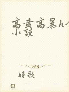 高黄高暴h全肉小说