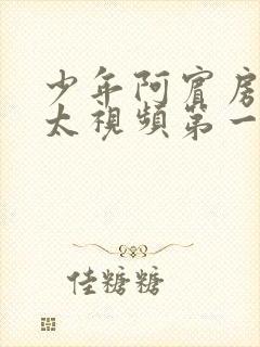 少年阿宾房东太太视频第一集