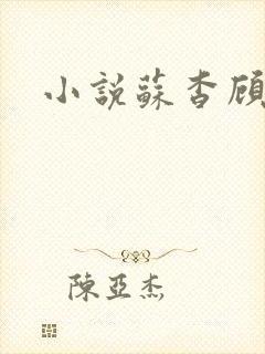 小说苏杳顾君亦