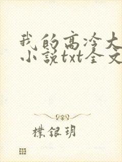 我的高冷大小姐小说txt全文下载