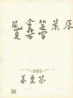 风会笑叶辰孙怡夏若雪