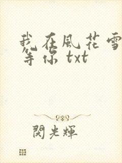 我在风花雪月里等你 txt封面