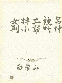 女特工被吊起用刑小说叫什么名字